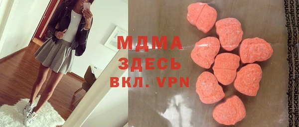 прущие грибы Верея