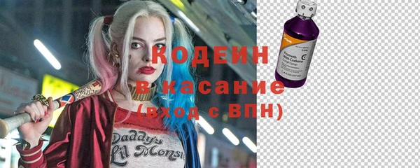 прущие грибы Верея