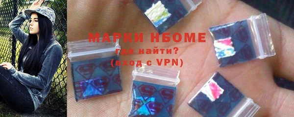 прущие грибы Верея