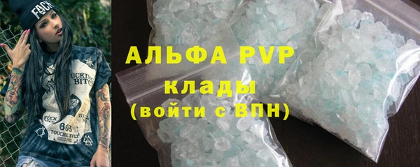 прущие грибы Верея