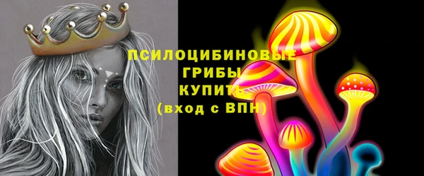 мдпв Верхний Тагил