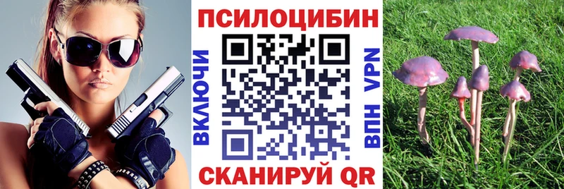 Псилоцибиновые грибы Psilocybe  Дятьково 